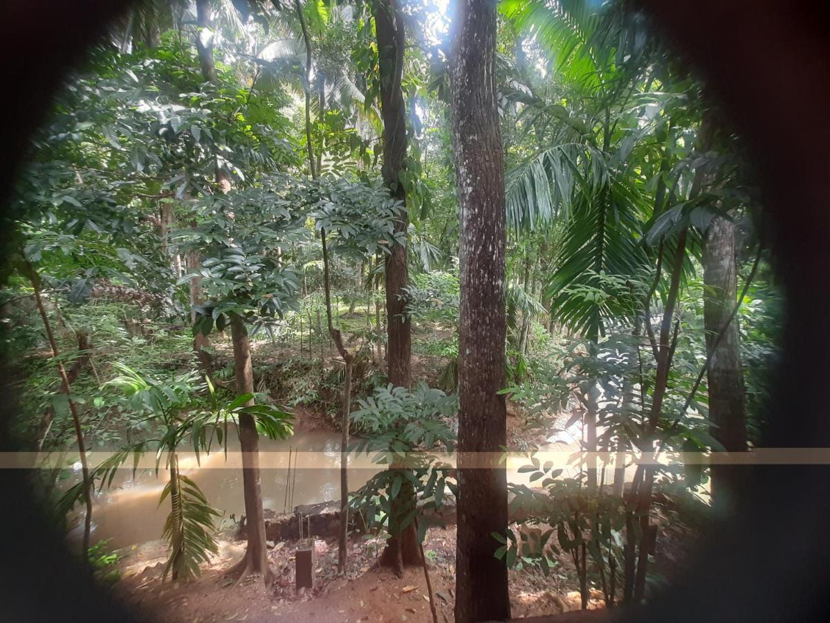 Hotel Yelona Kegalle Bagian luar foto